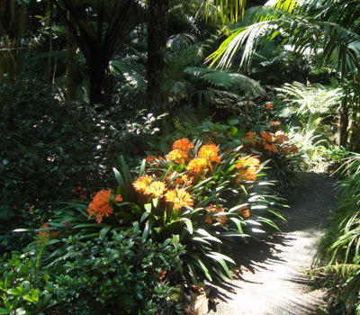 Eden Garden and Cafe