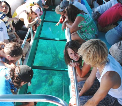 Goat Island NZ Glass Bottom Boat Tour