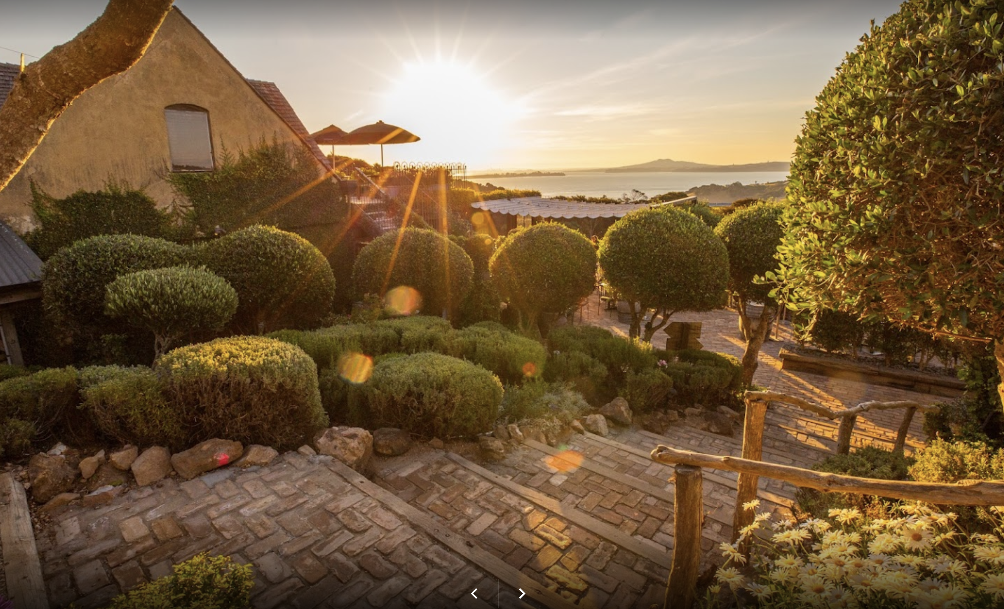 Waiheke   Wine    Tours