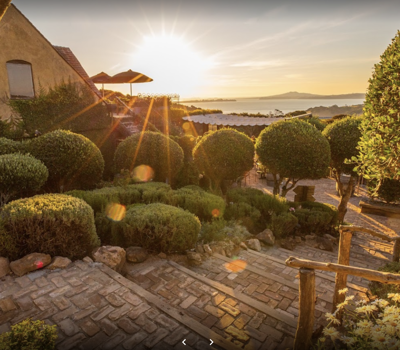 Waiheke   Wine    Tours