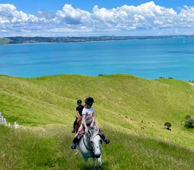 Waiheke Horse Tours