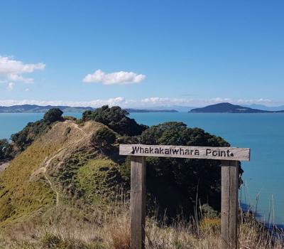 Wild Adventures New Zealand