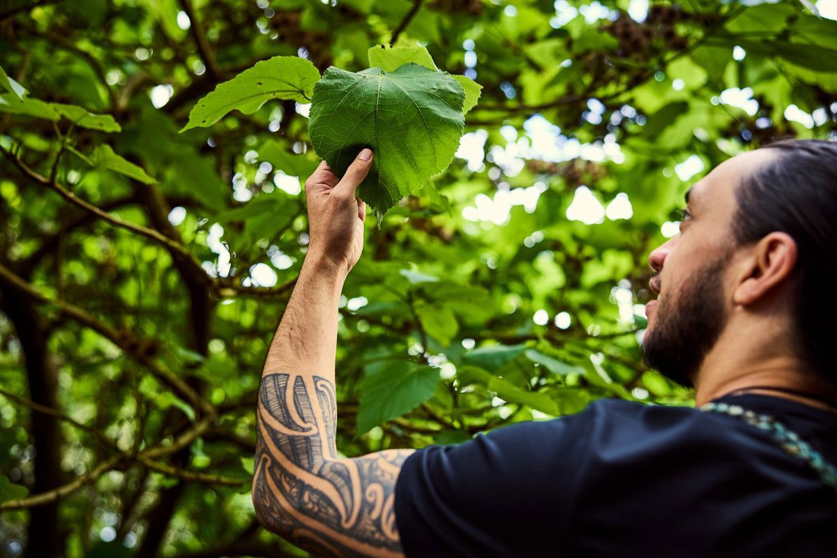 Two Column Image Text